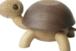Speedy, skildpaddeunge