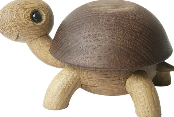 Speedy, skildpaddeunge