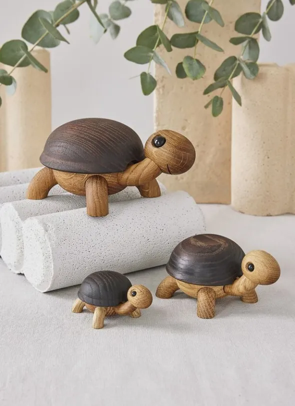 Speedy, skildpaddeunge