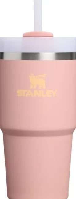 Stanley The Quencher H2. O FlowState Tumbler 0. 6L