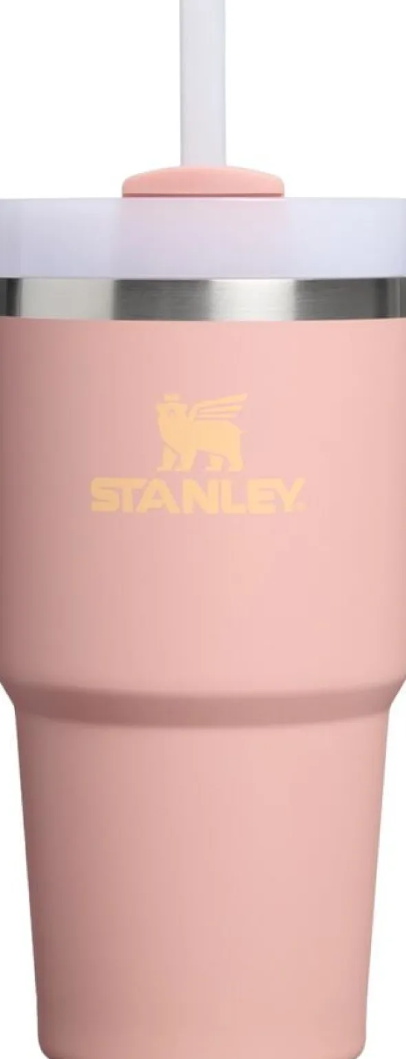 Stanley The Quencher H2. O FlowState Tumbler 0. 6L