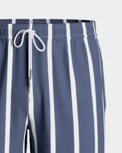 Striped Swim Shorts