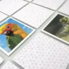 Tactic Memo Animal Babies